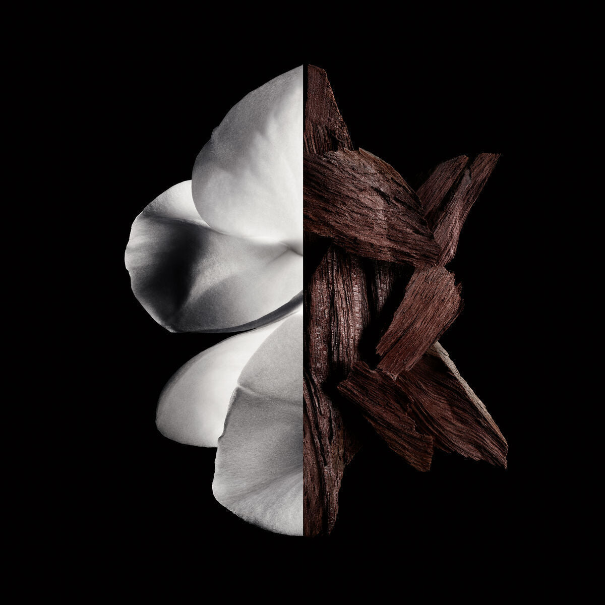 V4H29F747545892DF30CAB429BED0CC2928R6237557P2