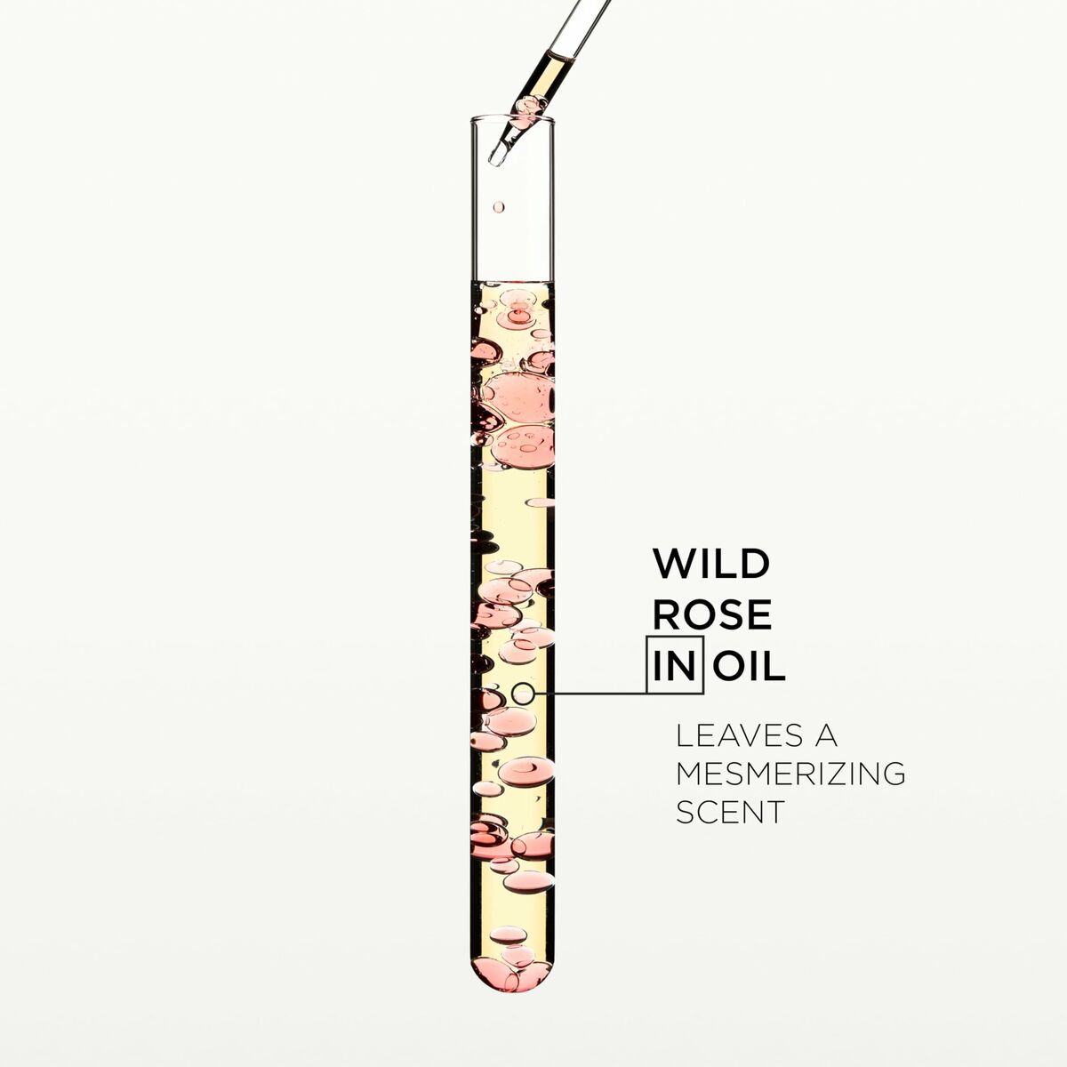 V3HCE9D7B859BAFB71F187861A6ED3F14B8R6442913P8