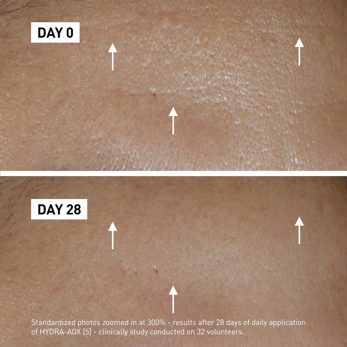 V3HAD8EAF3338ED68C245AD4BFB7A5A3452R5673625P4