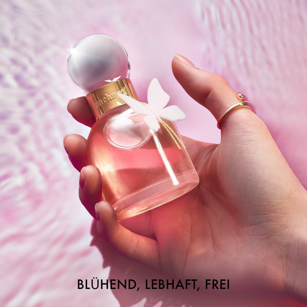 V2HA851428BF439CA07C5FCEE914DCCD977R7322039P2