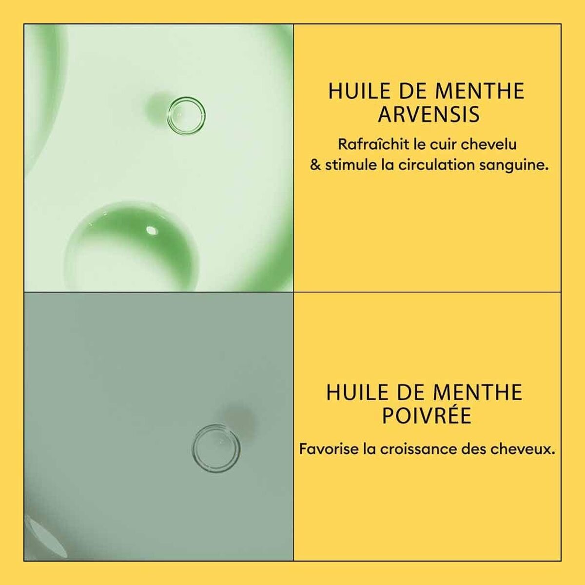 V2H3D05A0AC95CDF0CC80C20380DFE8E3CDR7509596P4