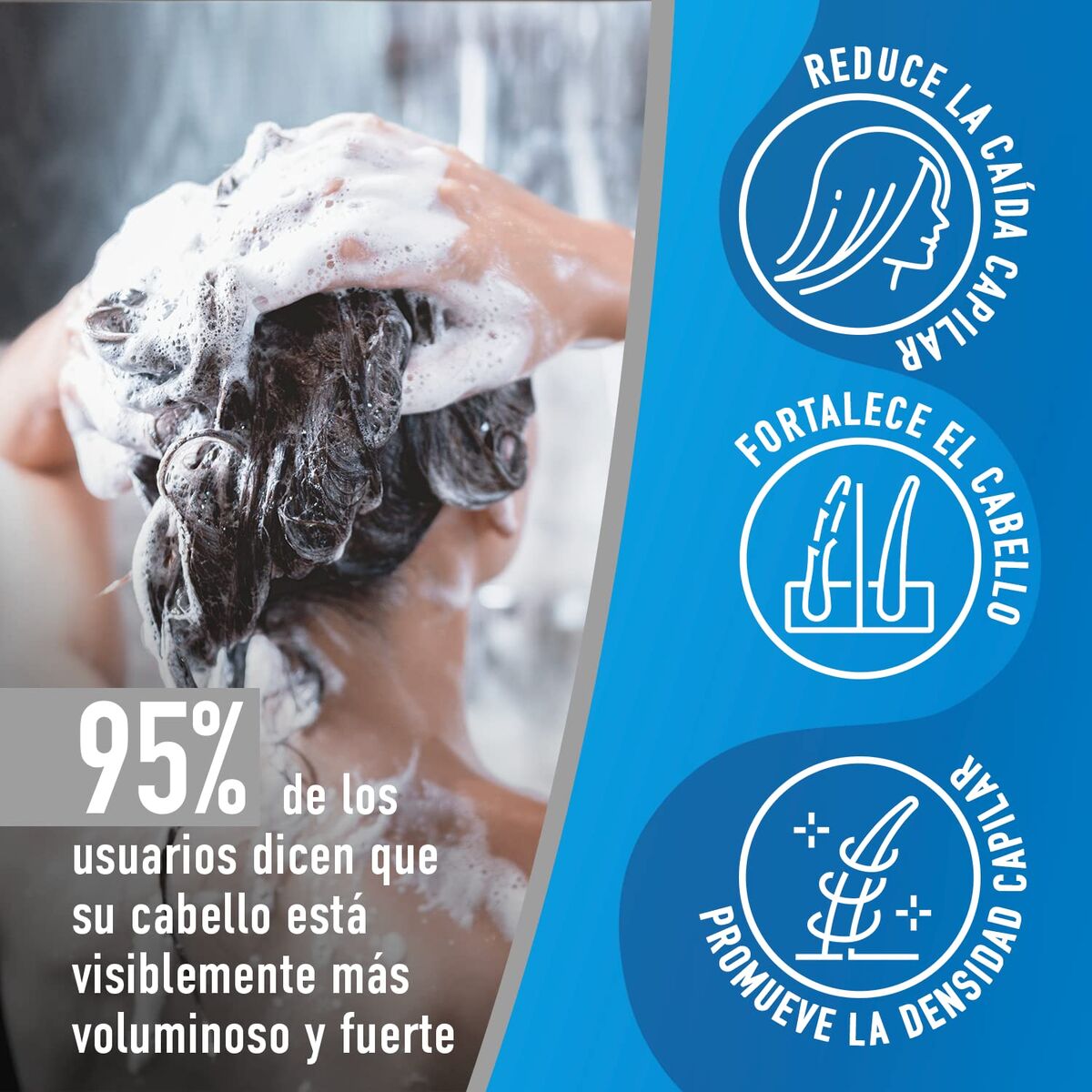 V2H1049488C634EF6C92E60707B56102324R7545008P5